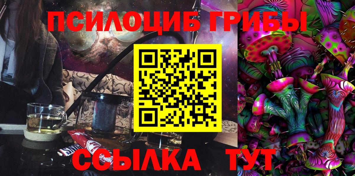 Псилоцибиновые грибы мицелий Зеленодольск